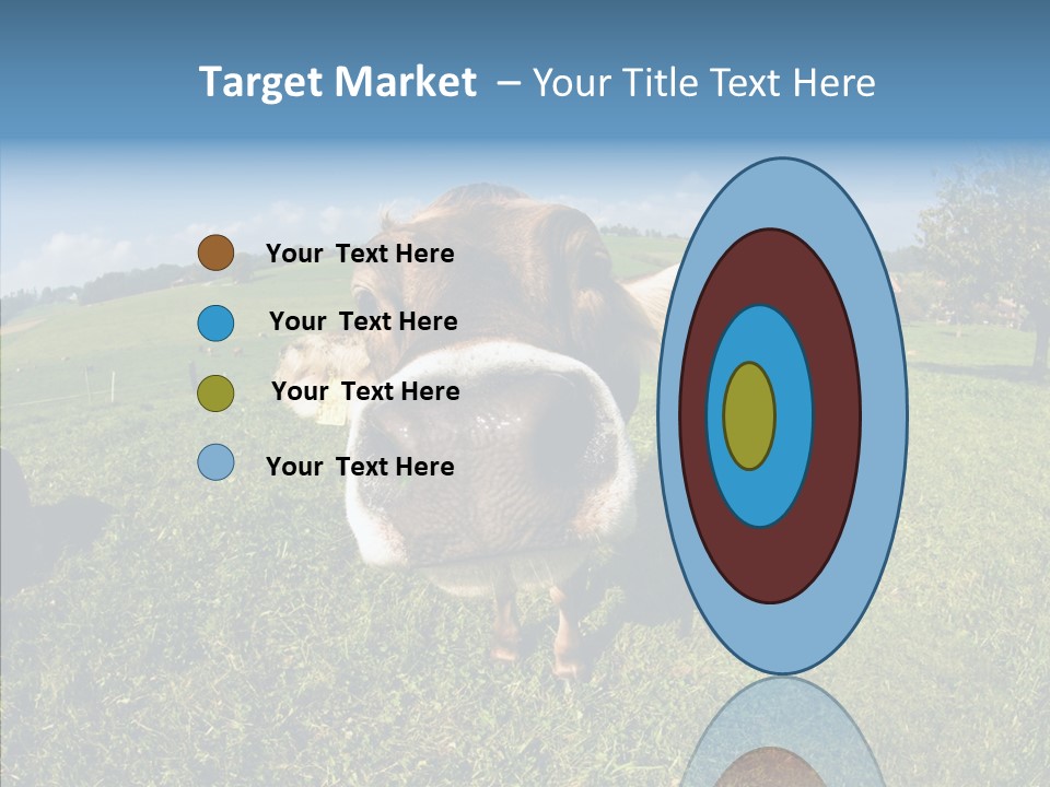 Hay Fish Sky PowerPoint Template