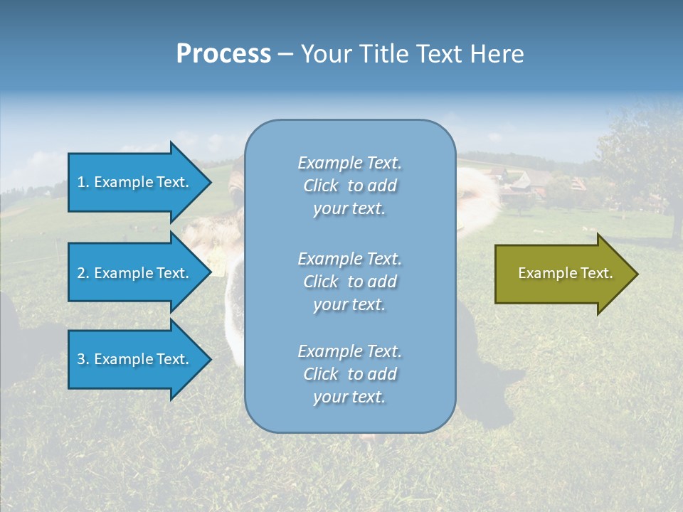 Hay Fish Sky PowerPoint Template