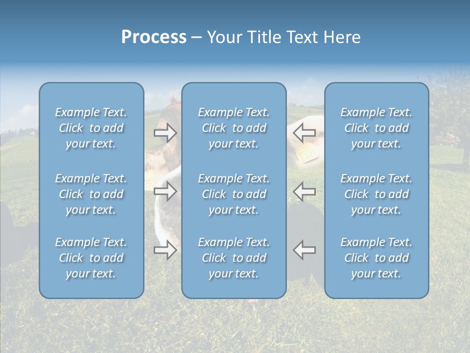 Hay Fish Sky PowerPoint Template