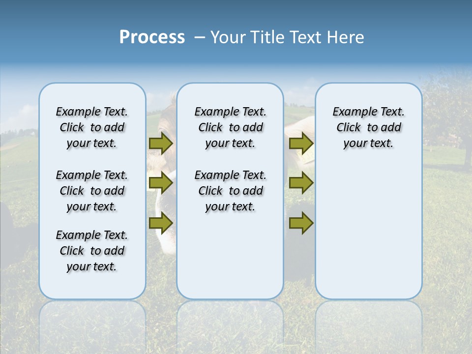 Hay Fish Sky PowerPoint Template