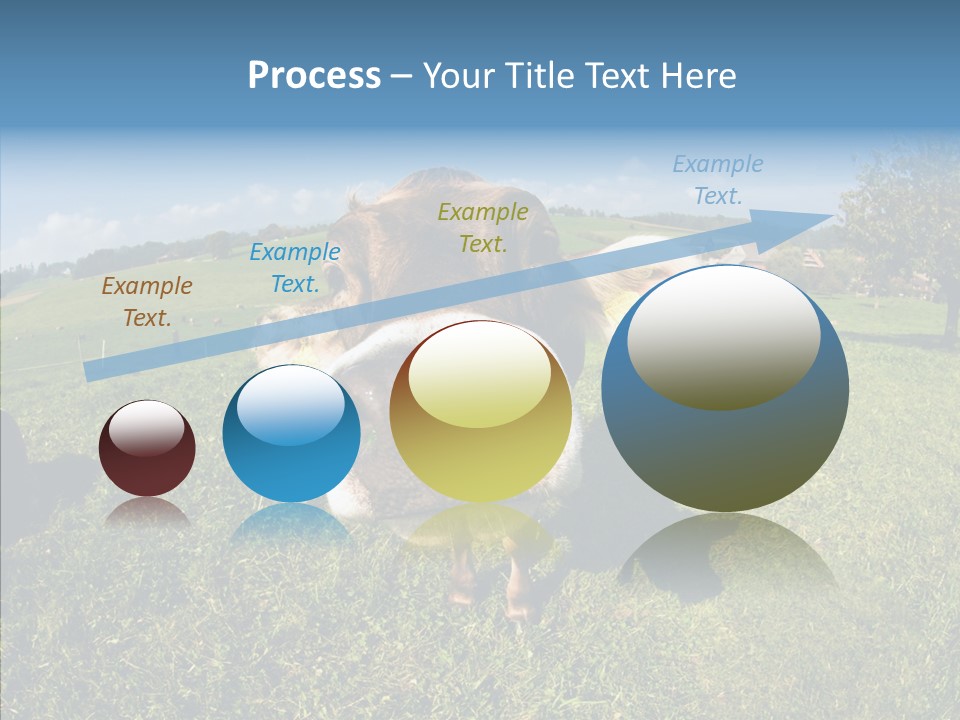 Hay Fish Sky PowerPoint Template