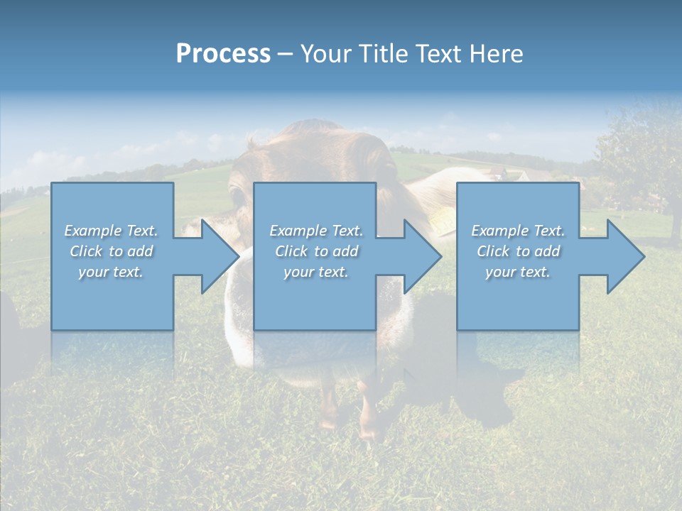 Hay Fish Sky PowerPoint Template