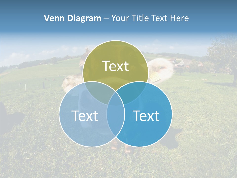 Hay Fish Sky PowerPoint Template