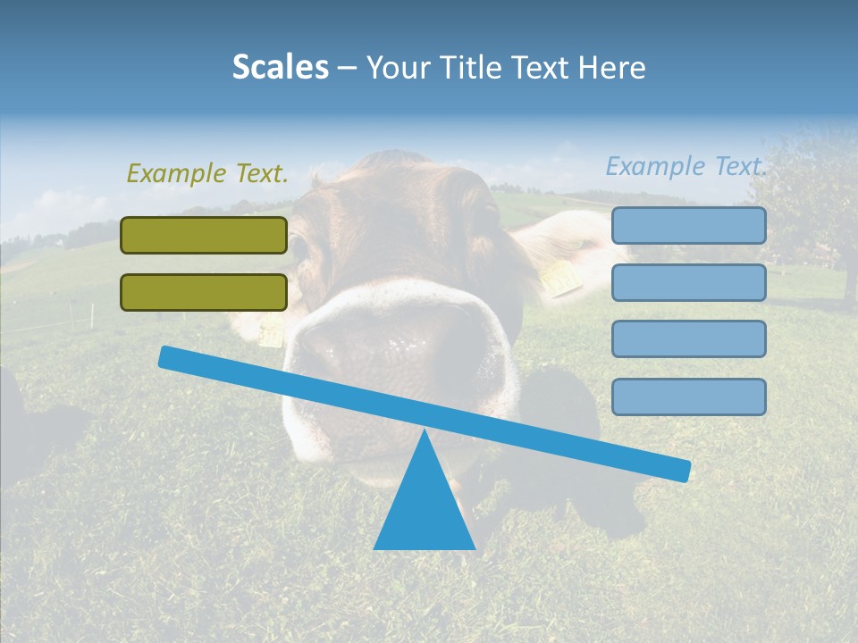 Hay Fish Sky PowerPoint Template