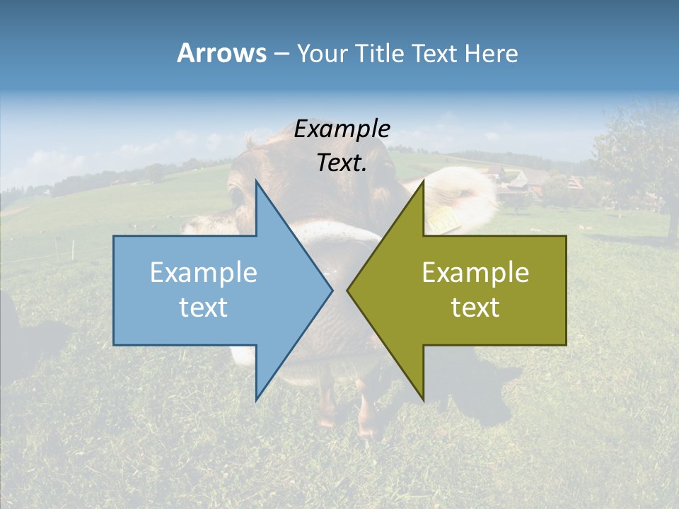 Hay Fish Sky PowerPoint Template