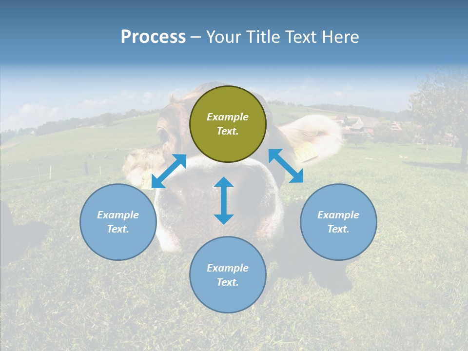 Hay Fish Sky PowerPoint Template