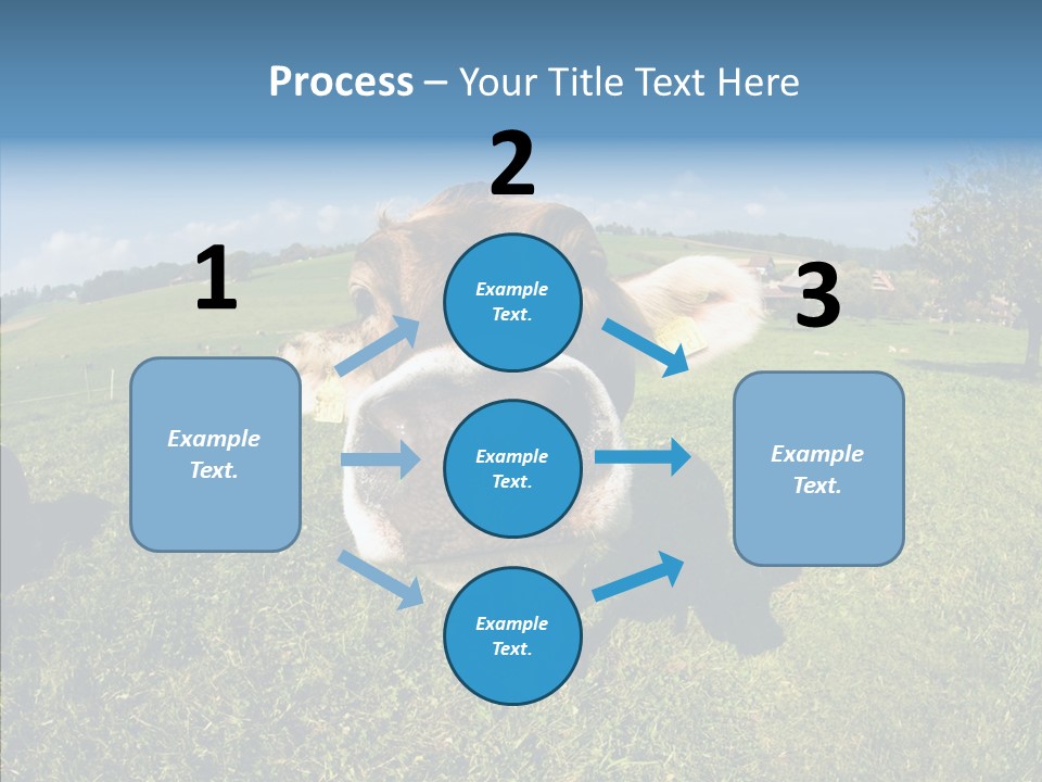 Hay Fish Sky PowerPoint Template