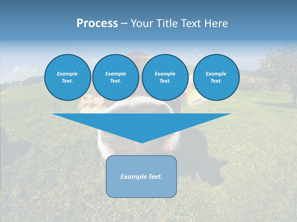 Hay Fish Sky PowerPoint Template