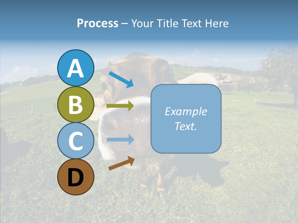 Hay Fish Sky PowerPoint Template