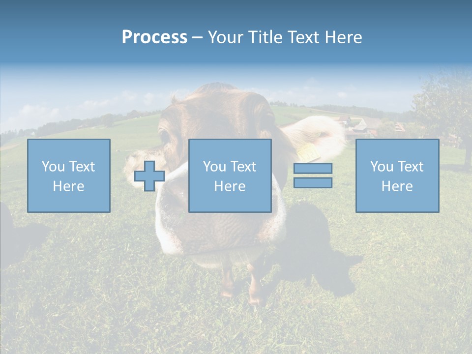 Hay Fish Sky PowerPoint Template