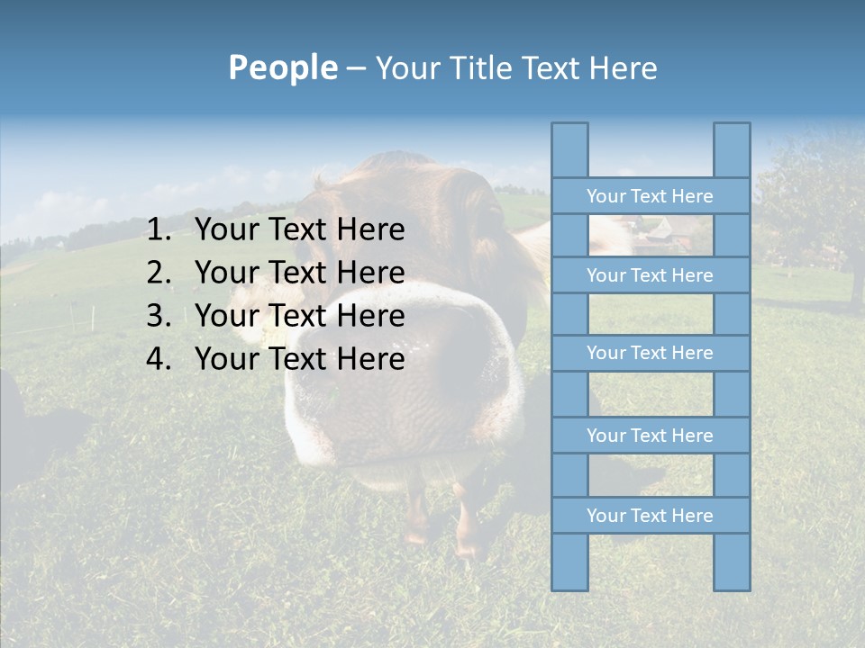 Hay Fish Sky PowerPoint Template