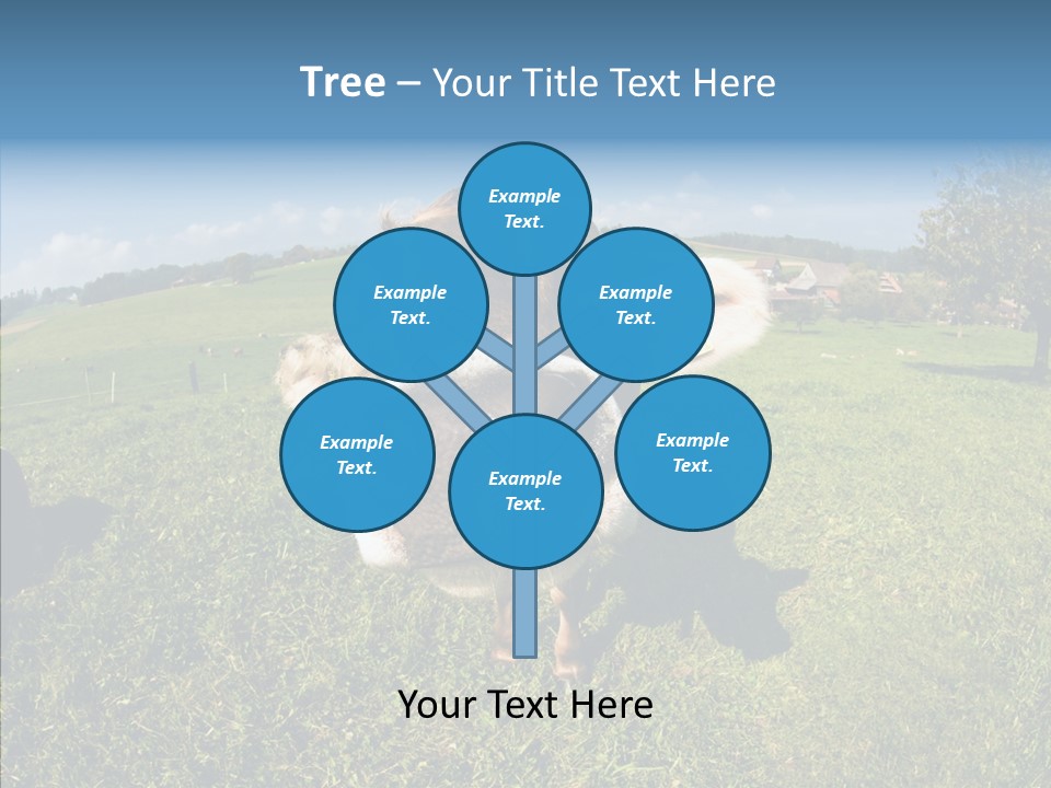 Hay Fish Sky PowerPoint Template