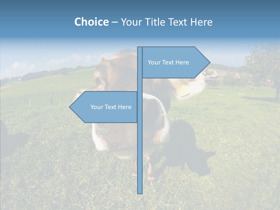 Hay Fish Sky PowerPoint Template