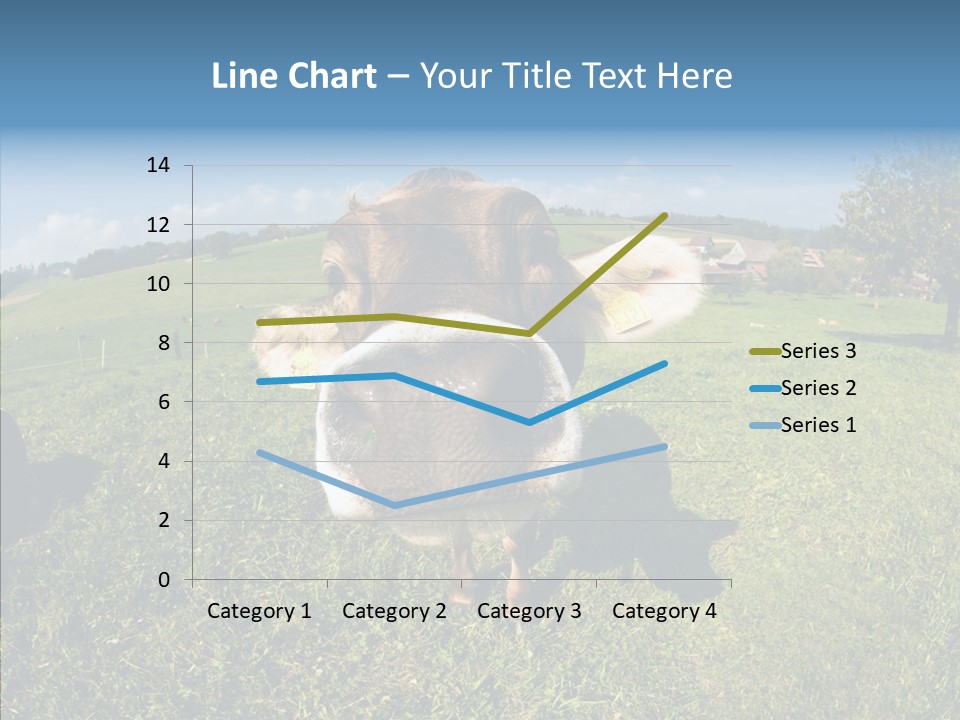 Hay Fish Sky PowerPoint Template