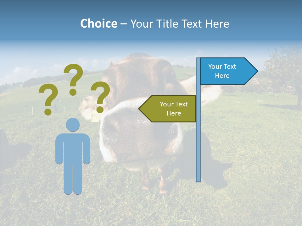 Hay Fish Sky PowerPoint Template