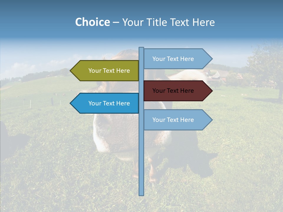 Hay Fish Sky PowerPoint Template