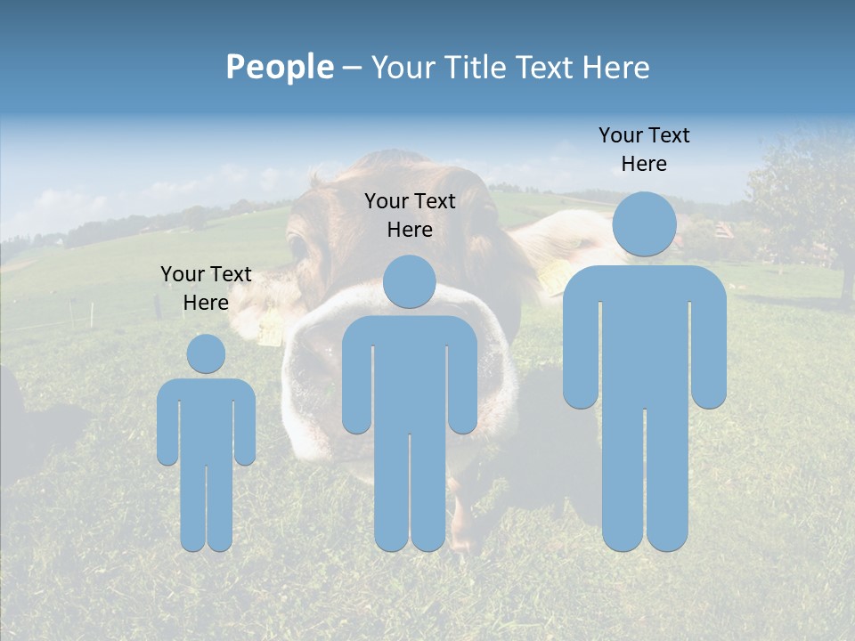 Hay Fish Sky PowerPoint Template