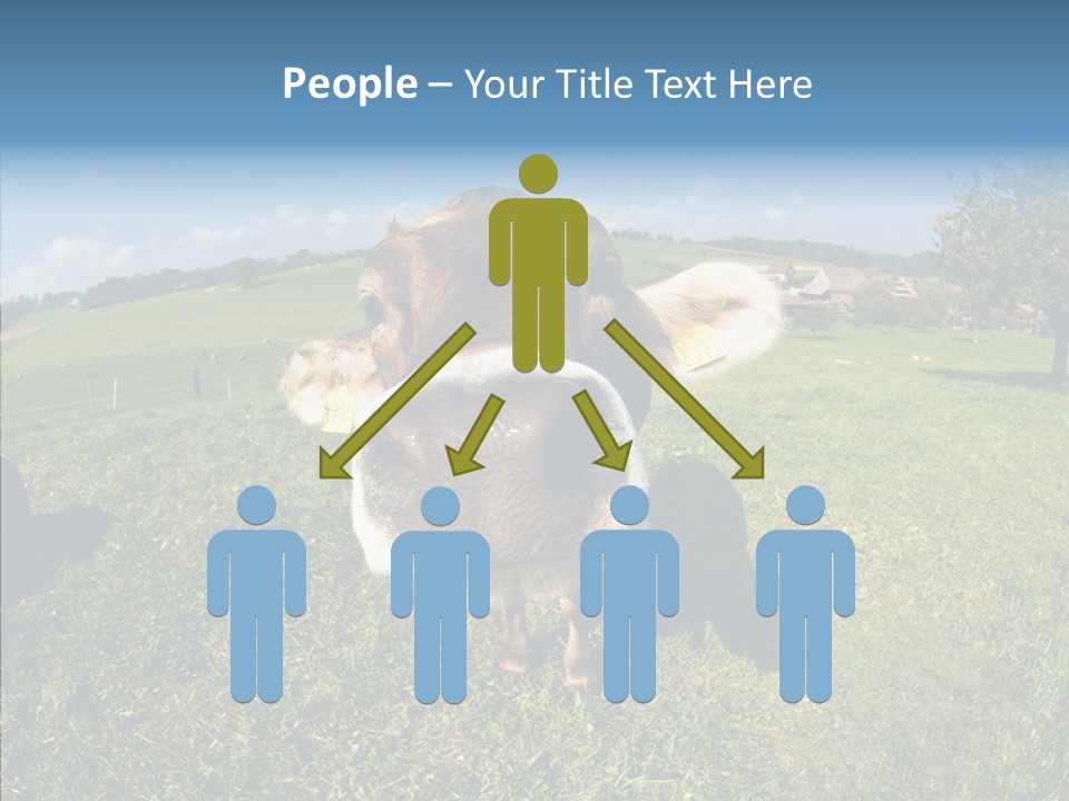 Hay Fish Sky PowerPoint Template