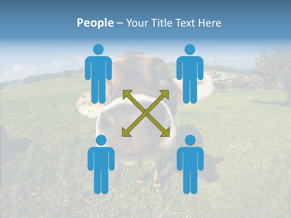 Hay Fish Sky PowerPoint Template