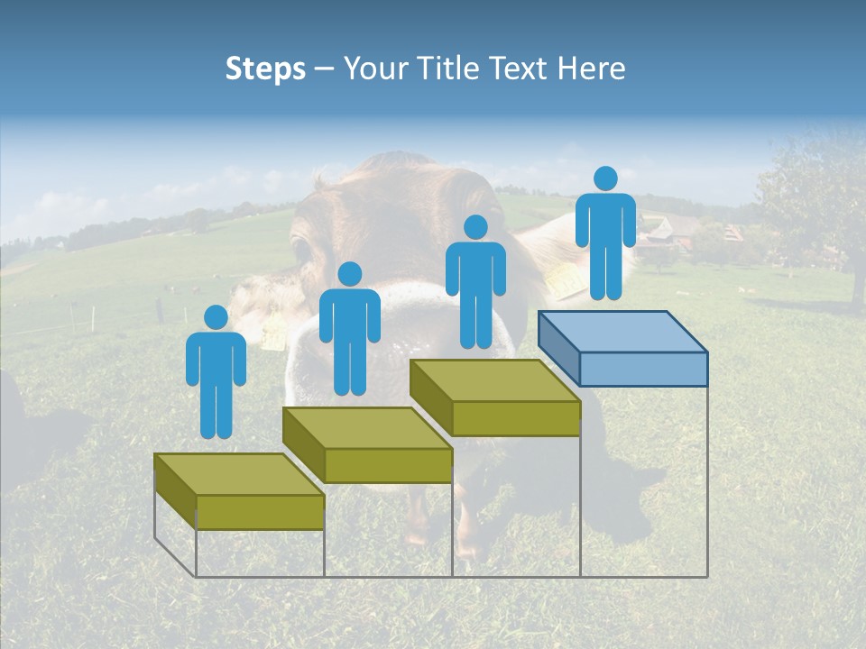 Hay Fish Sky PowerPoint Template