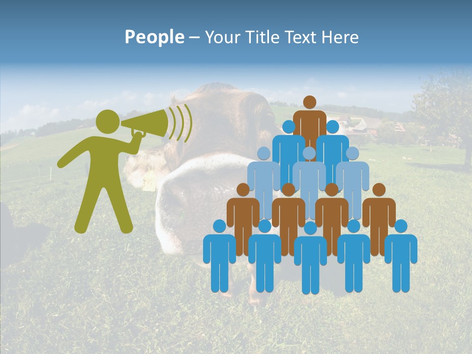 Hay Fish Sky PowerPoint Template