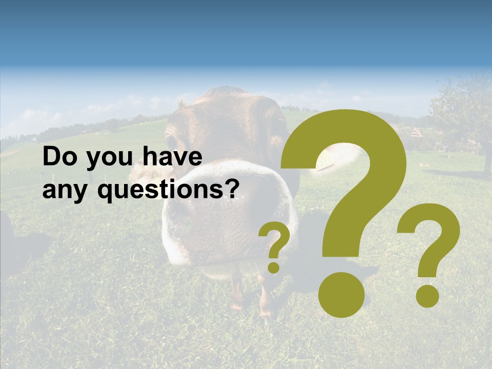 Hay Fish Sky PowerPoint Template