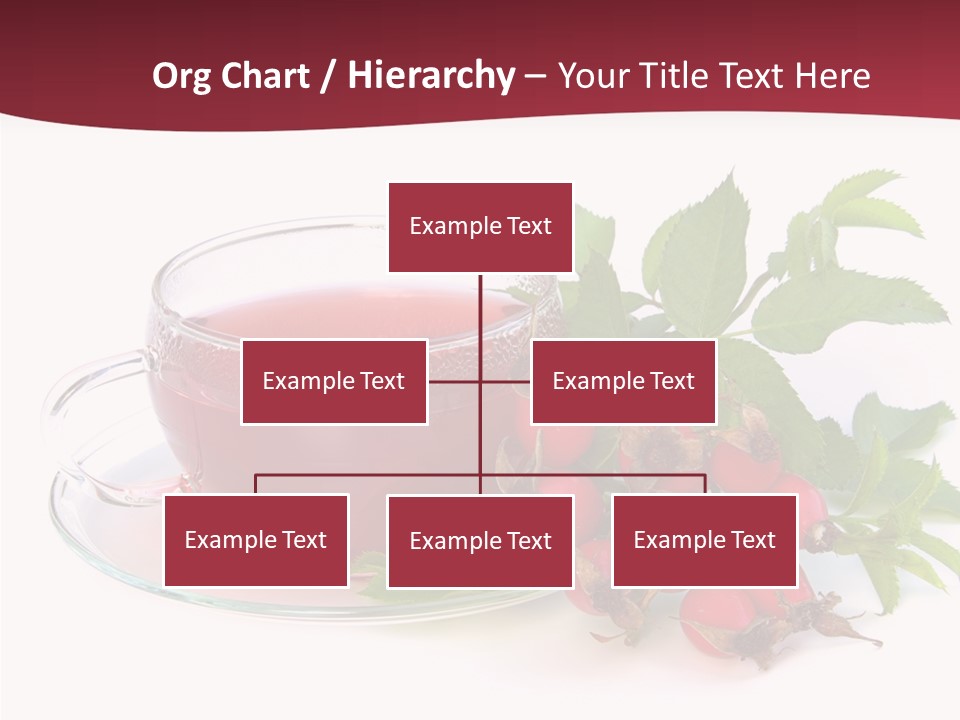 Macro Berry Natural PowerPoint Template