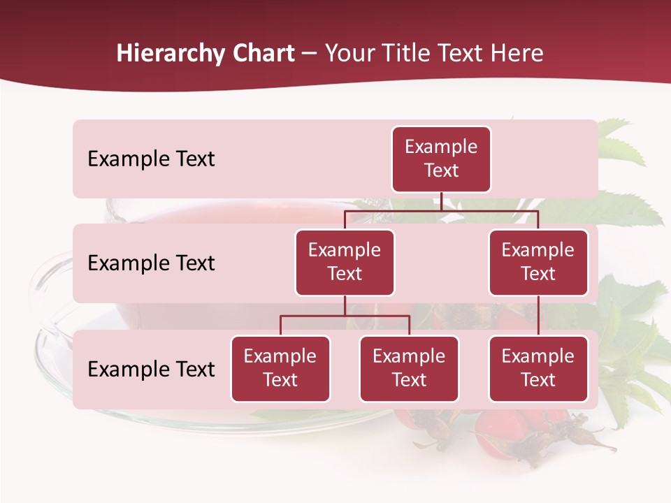 Macro Berry Natural PowerPoint Template