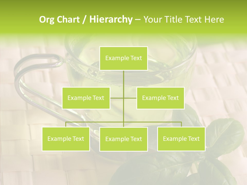 Freshness Grassy Light PowerPoint Template