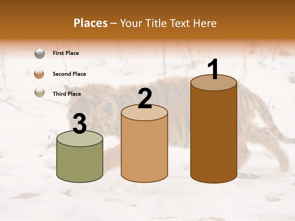 Walk Small Cub PowerPoint Template