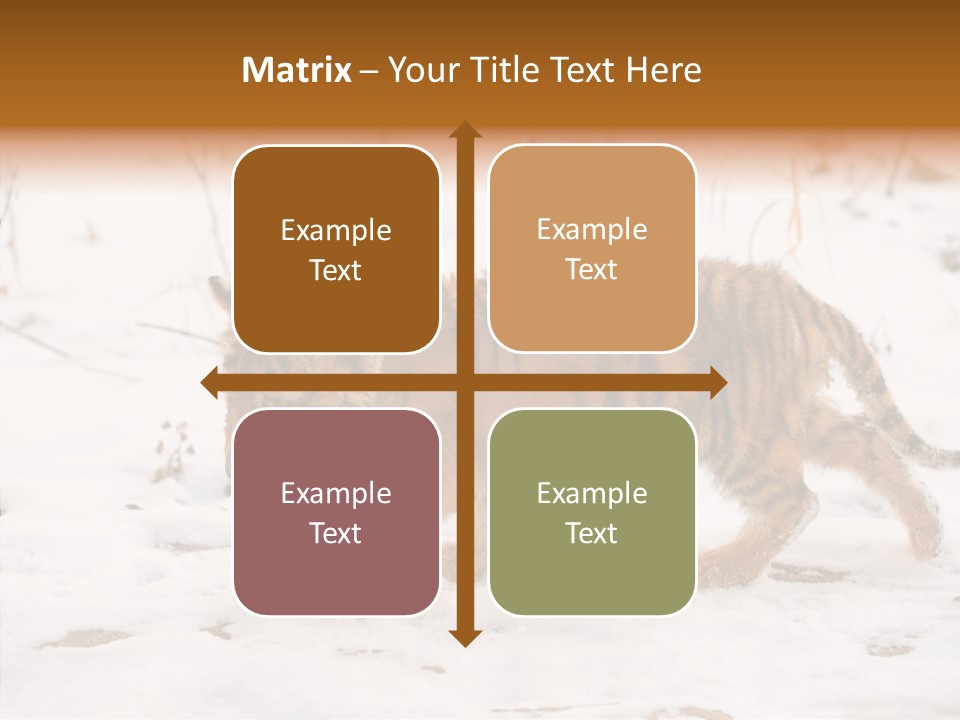 Walk Small Cub PowerPoint Template