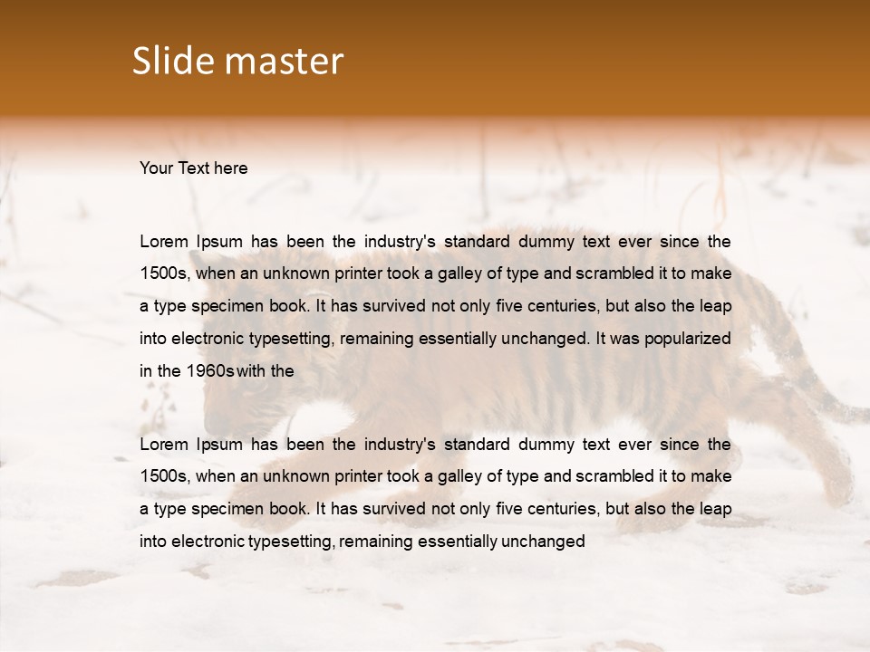 Walk Small Cub PowerPoint Template