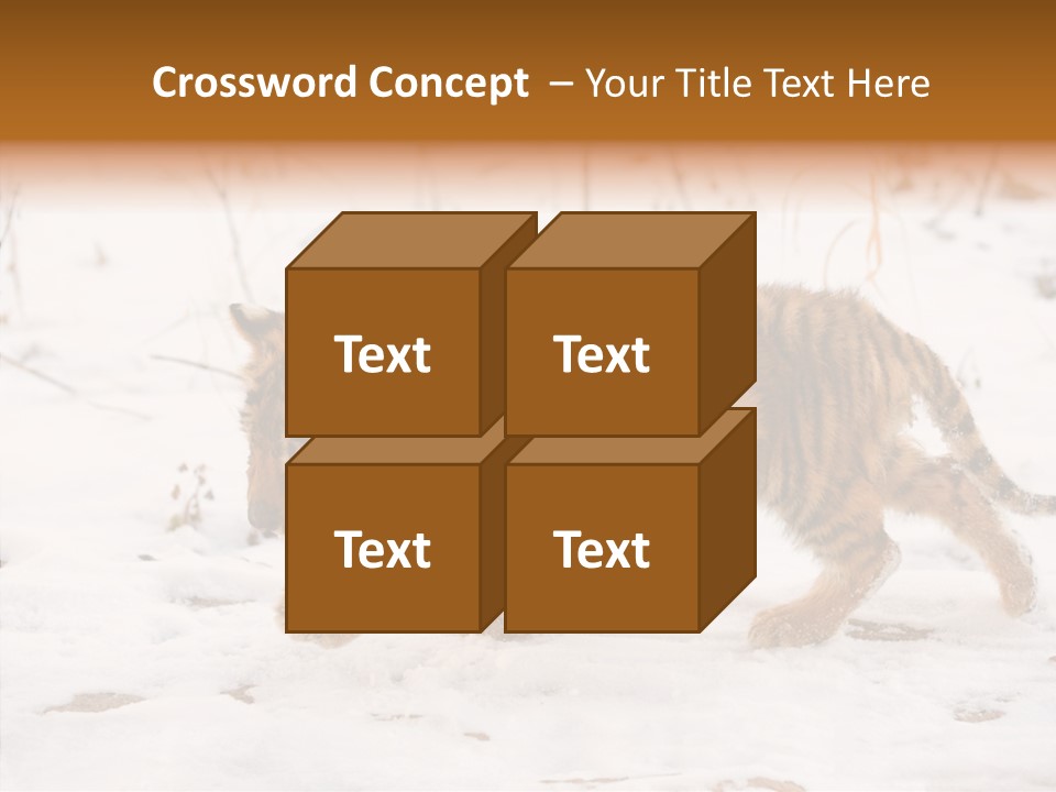 Walk Small Cub PowerPoint Template