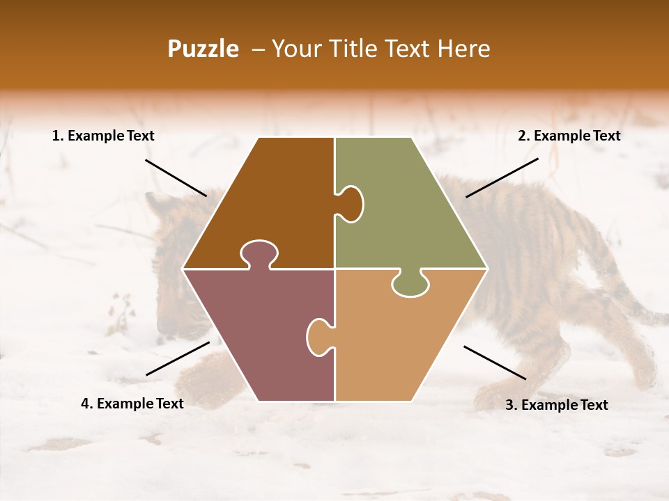 Walk Small Cub PowerPoint Template