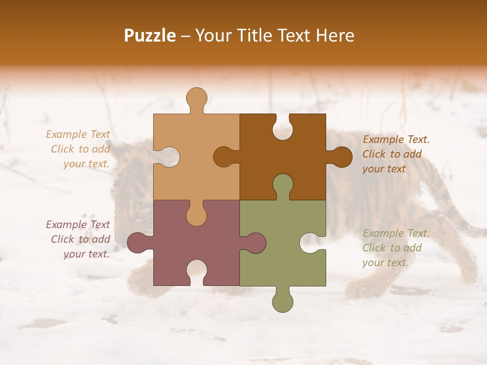 Walk Small Cub PowerPoint Template