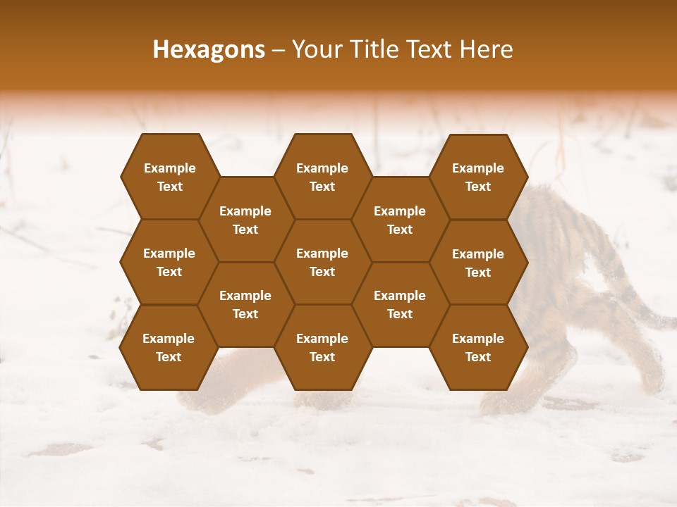 Walk Small Cub PowerPoint Template