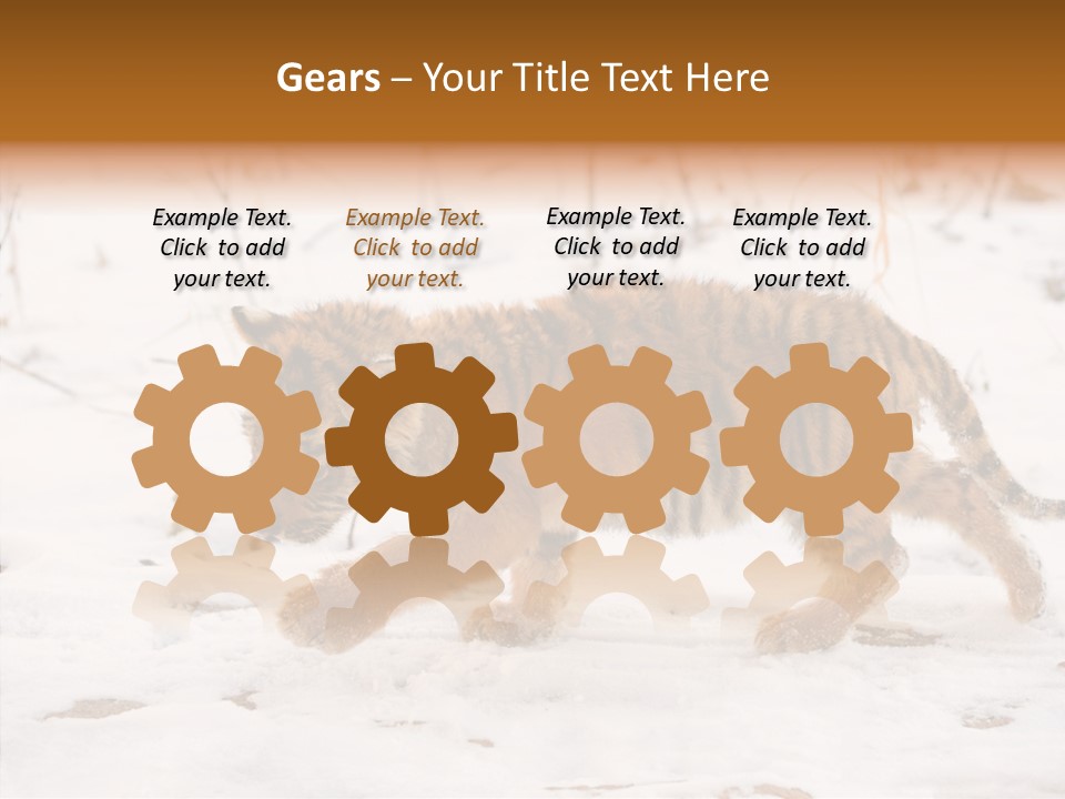 Walk Small Cub PowerPoint Template