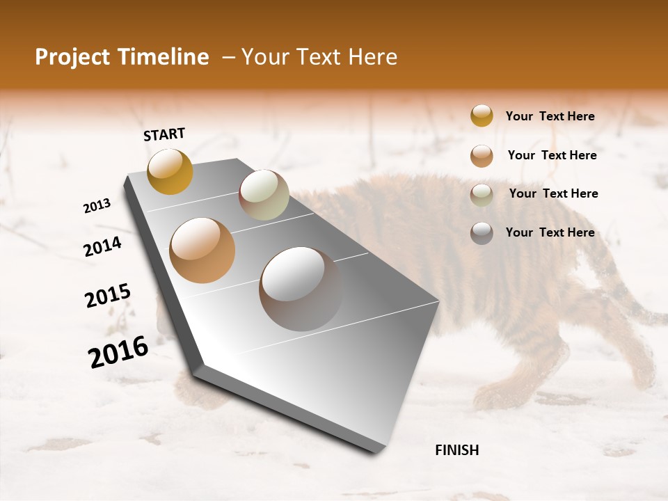 Walk Small Cub PowerPoint Template
