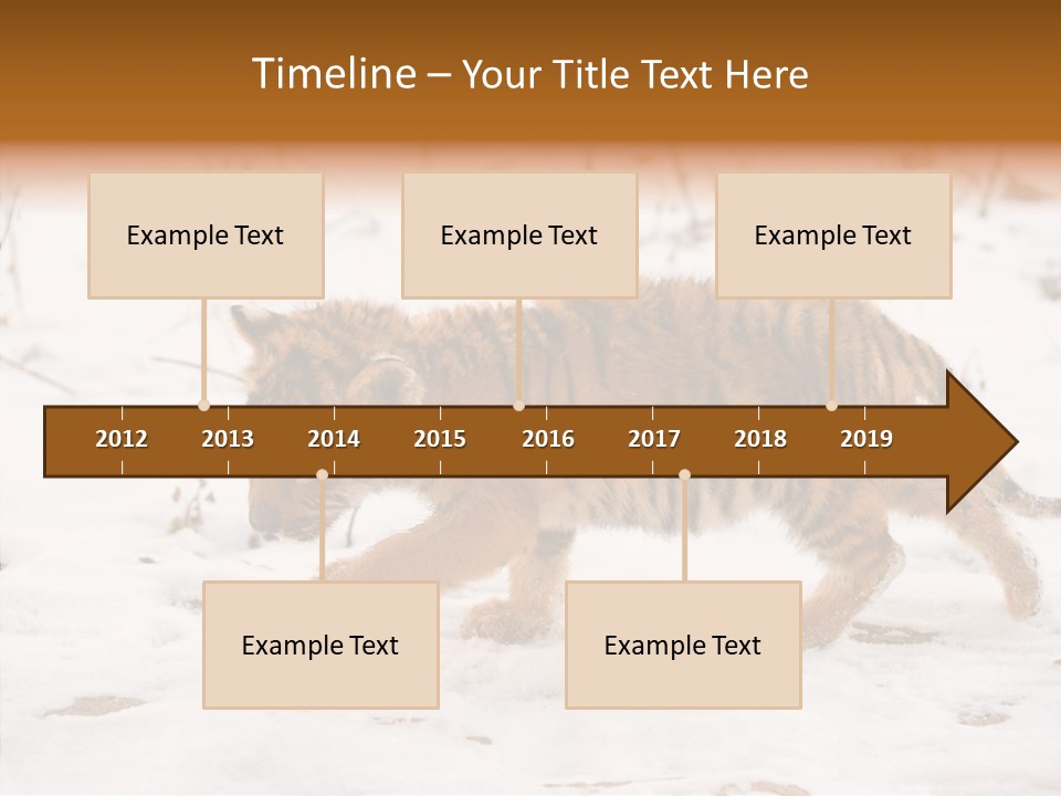 Walk Small Cub PowerPoint Template