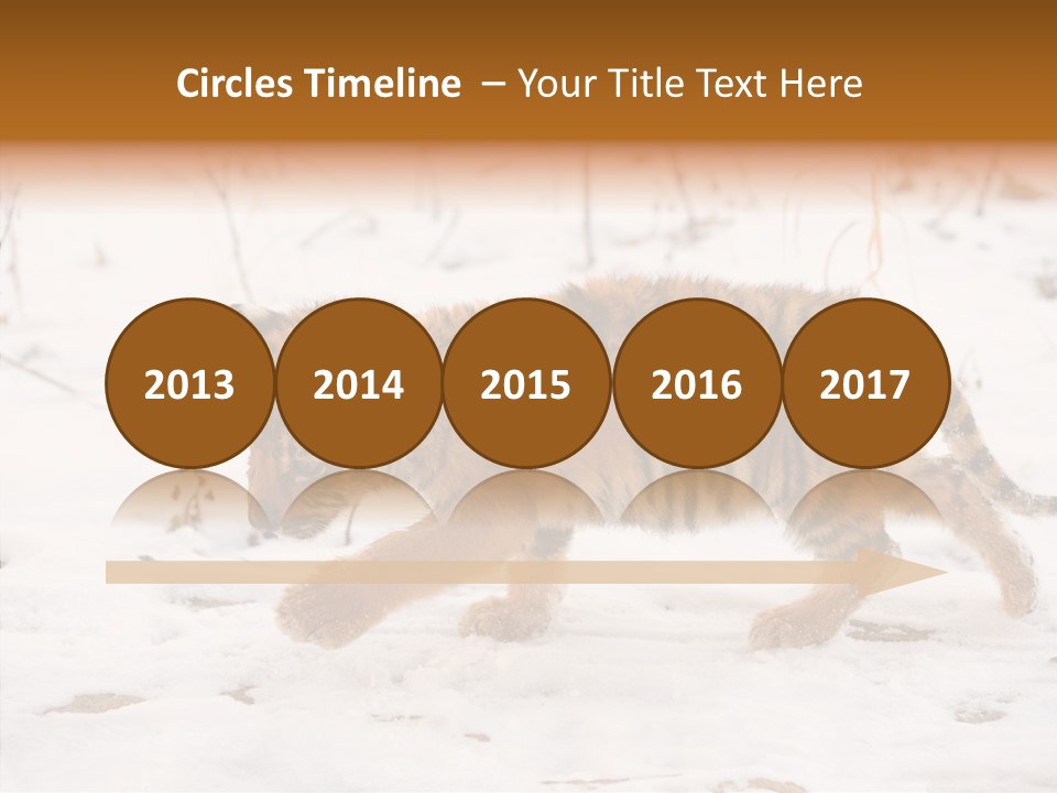 Walk Small Cub PowerPoint Template