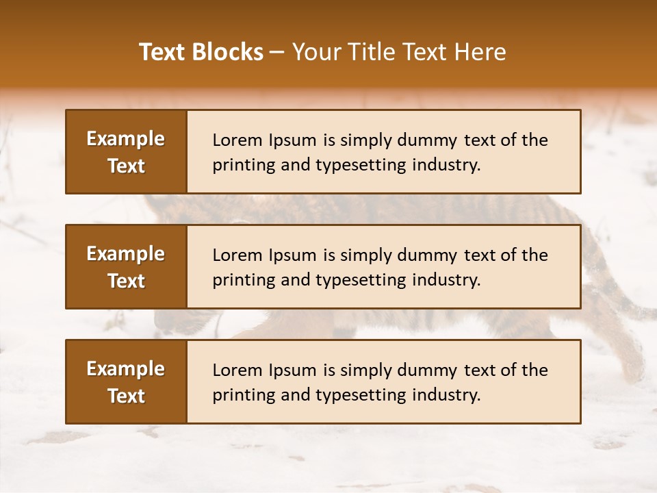 Walk Small Cub PowerPoint Template