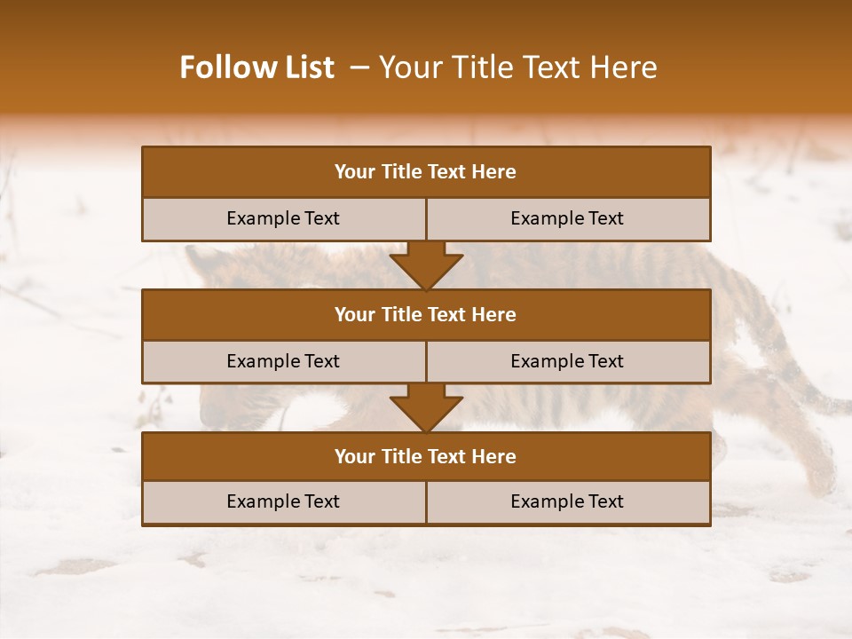 Walk Small Cub PowerPoint Template