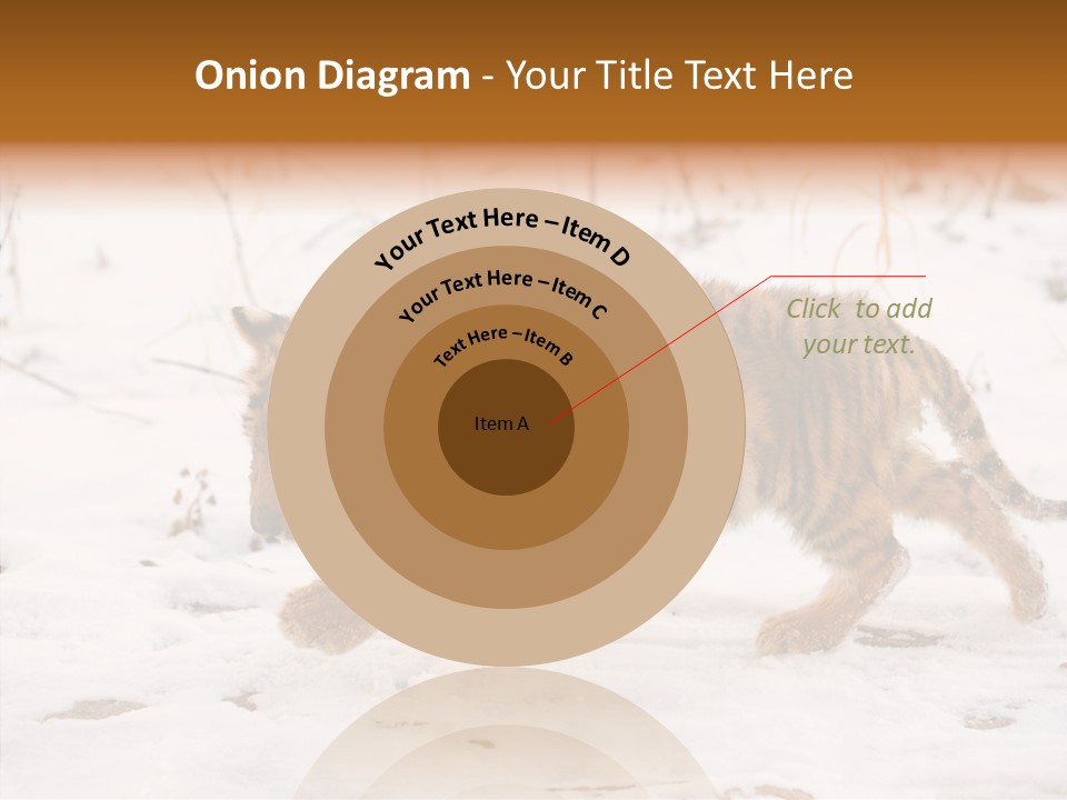 Walk Small Cub PowerPoint Template