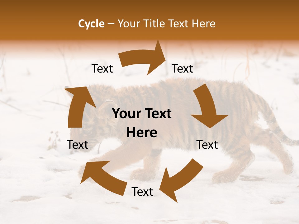 Walk Small Cub PowerPoint Template