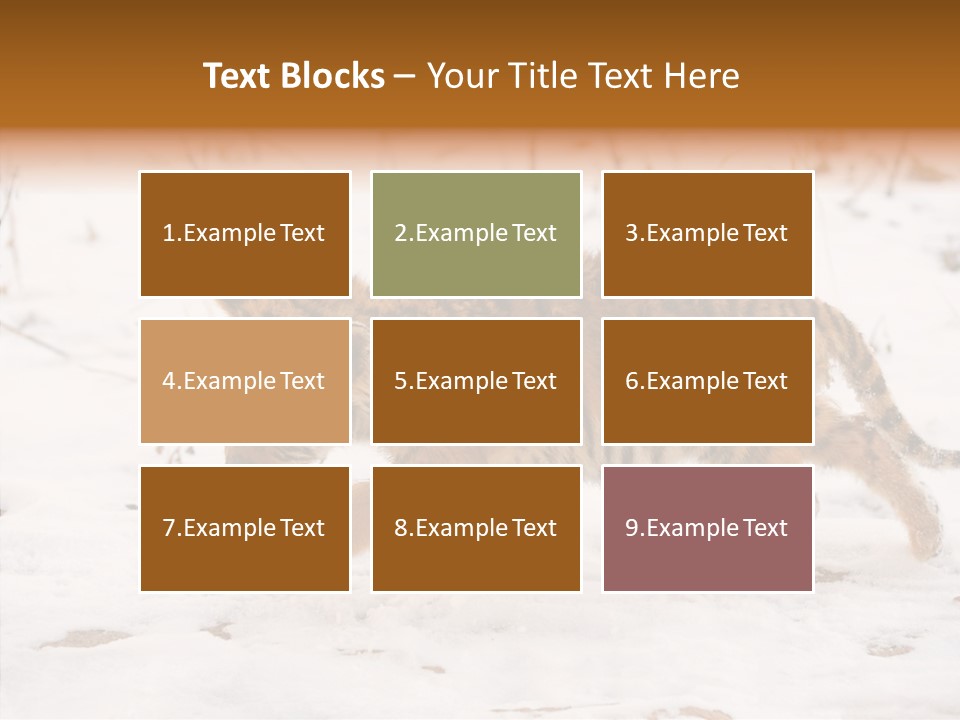 Walk Small Cub PowerPoint Template