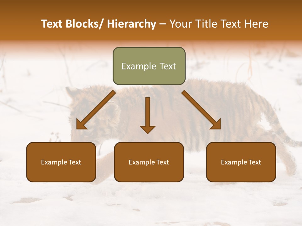 Walk Small Cub PowerPoint Template