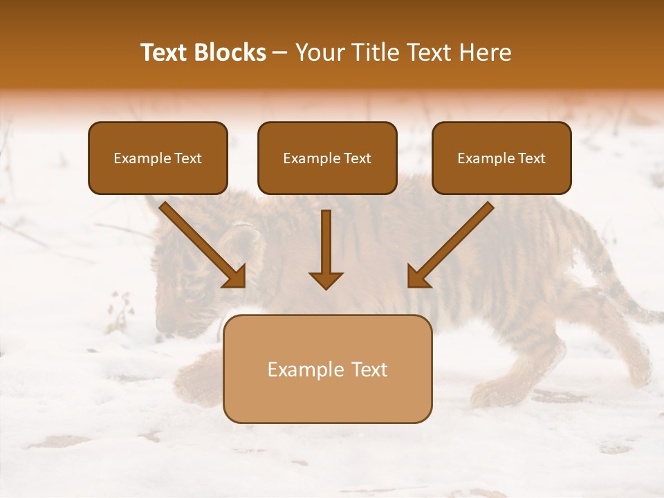 Walk Small Cub PowerPoint Template