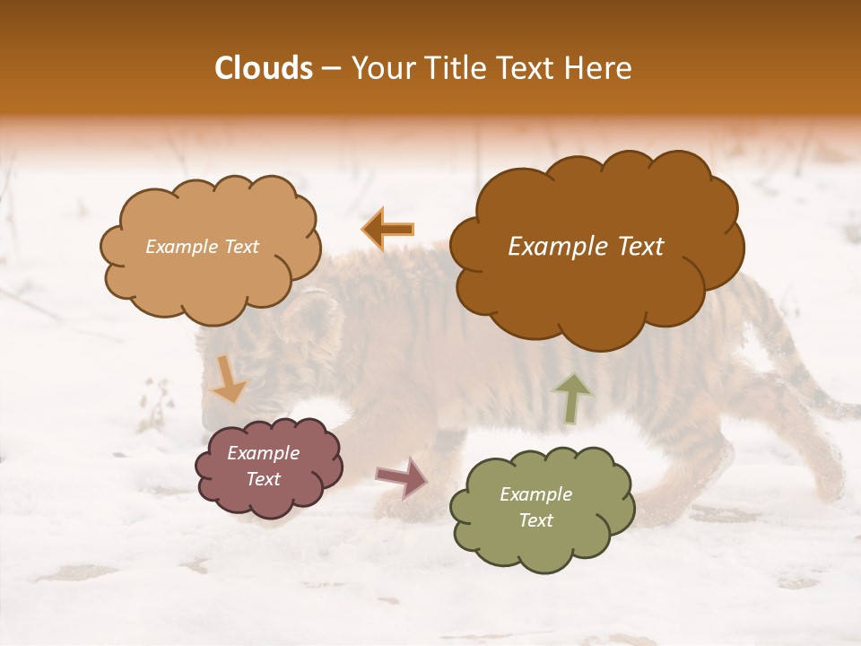 Walk Small Cub PowerPoint Template