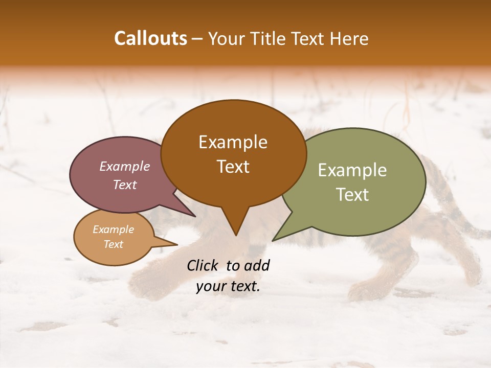 Walk Small Cub PowerPoint Template