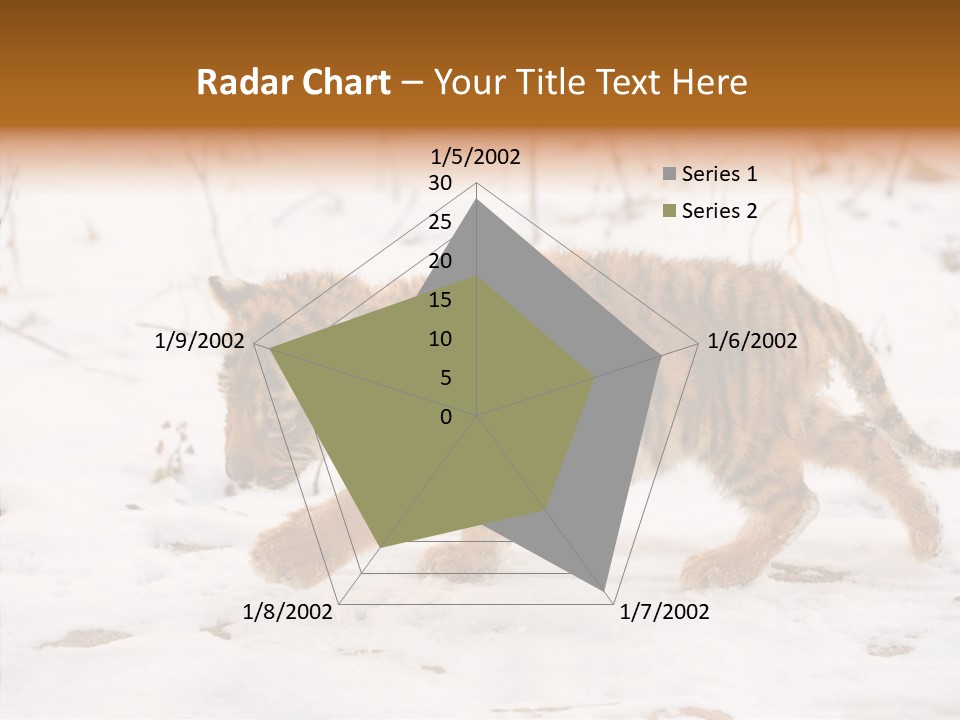 Walk Small Cub PowerPoint Template